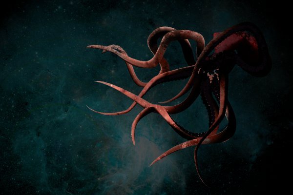 Kraken darknet ссылка тор