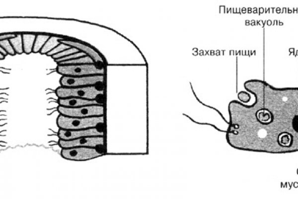 Пополнить кошелек кракен