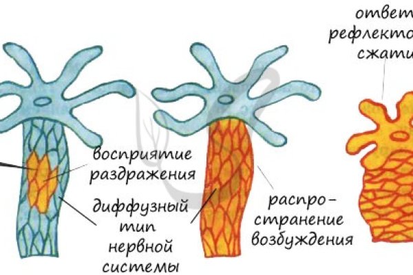 Сайт кракен kraken