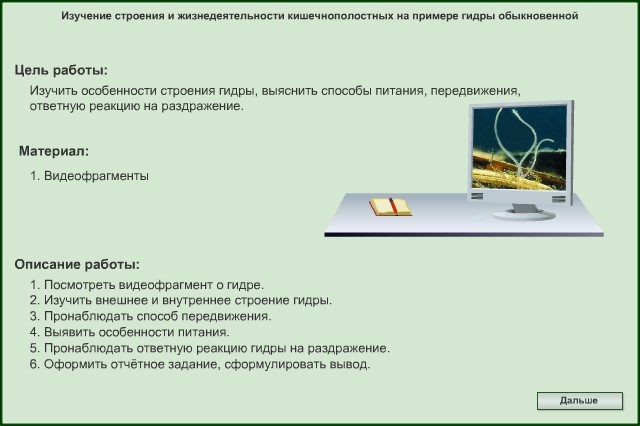 Ссылка для входа на сайт kraken